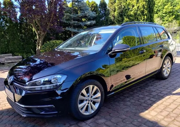 Volkswagen Golf cena 41800 przebieg: 152000, rok produkcji 2017 z Toruń małe 46